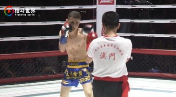 少林寺永春拳高手踢断伊朗拳王肋骨,13秒tko对手为中国功夫正名