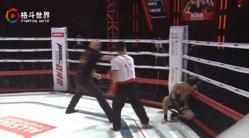 少林寺永春拳高手踢断伊朗拳王肋骨,13秒tko对手为中国功夫正名
