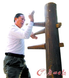 南陈宗亲网