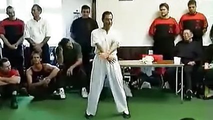 梁挺系咏春拳