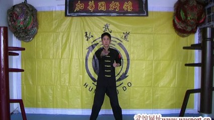 邵华演练叶问咏春拳小念头 邵华武术永春拳(加华国术馆)