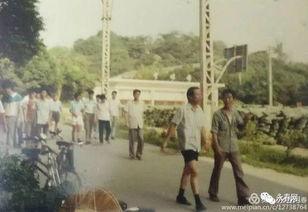 再见,永春化肥厂