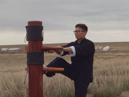 咏春传正统丨郑州 咏春拳木人桩法讲习会 开始报名啦