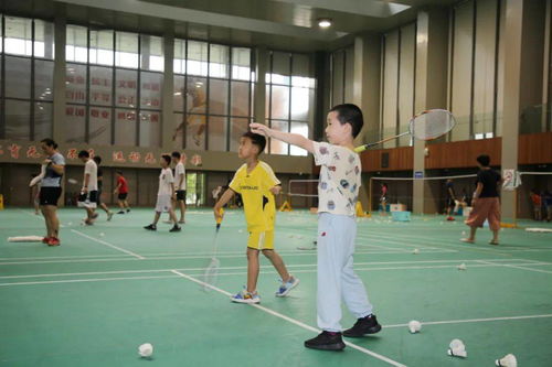 这就是传说中的咏春拳啊 家门口的健身夏令营棒棒哒