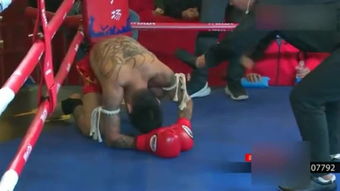 波兰咏春拳 –