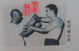 南陈宗亲网
