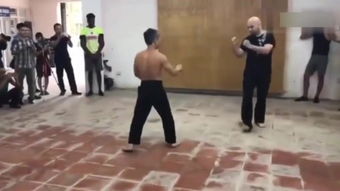 波兰咏春拳 –