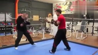 外国咏春拳 –