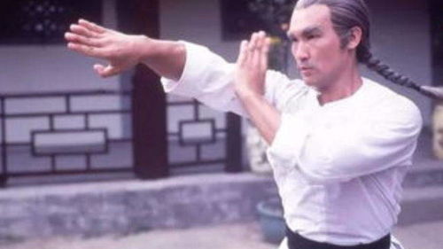 咏春拳最重要的概念之一 中线,保持最短路线