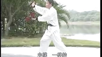 .咏春拳