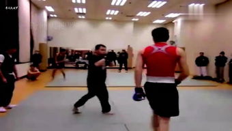 咏春拳12转马