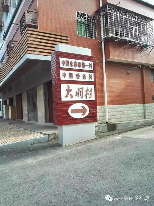 中国永春拳第一村 大羽村