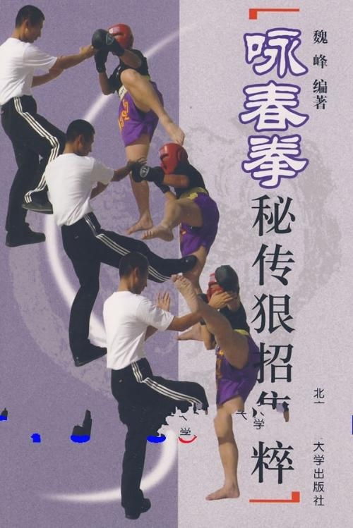 咏春拳秘传狠招集粹