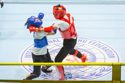 赛讯 2018 佛山高新区杯 国际武联咏春拳大赛首日精彩纷呈