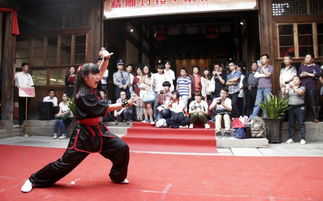 空手道之源头 南派少林五祖拳之白鹤拳