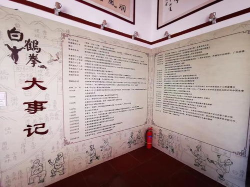 李小龙 叶问 咏春拳 ,聊聊咏春拳之起源 福建永春白鹤拳
