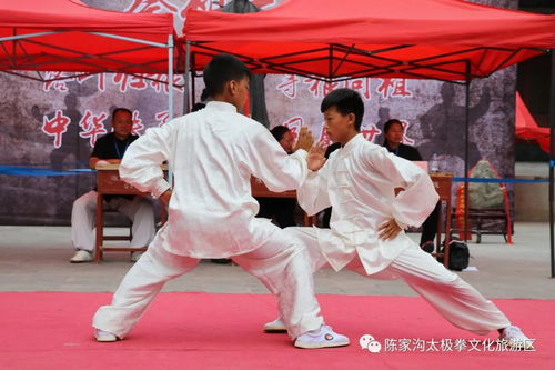 永春拳闪耀第五届陈家沟国际太极拳交流大赛