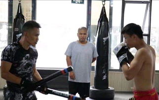 武术大师田野 太极拳非被动挨打,实战曾击败雷雷展现咏春威力