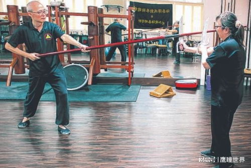 武术心得杂谈 永春拳的智慧与力量