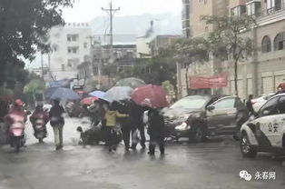 永春社会万象 文创旅游成果与民生事件交织