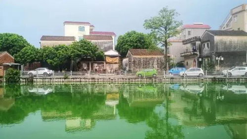 寻踪永春拳 叶问传人带您体验木人桩习武与顺德美食之旅