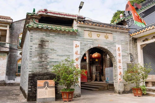 乡村蝶变 杏坛马东村，闻名海外的百年永春拳文化